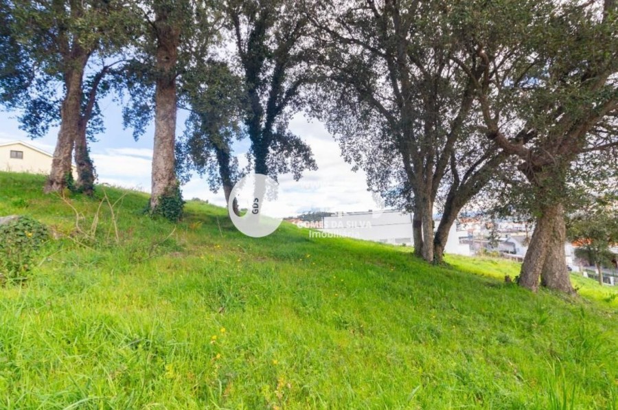 Terreno para Venda em Celeirós, Aveleda e Vimieiro, Braga, Braga - Imagem 6