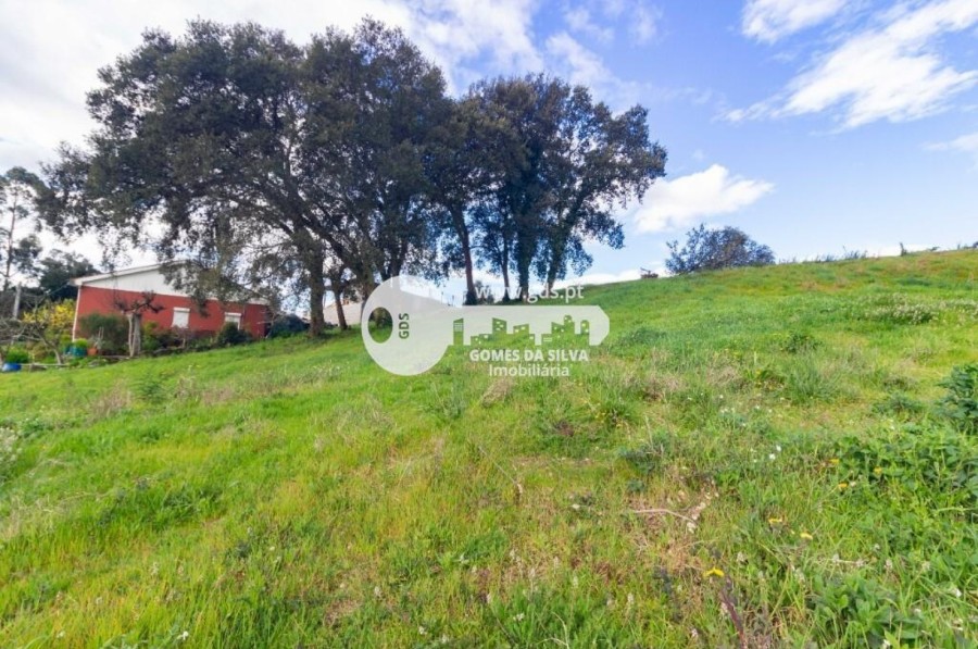 Terreno para Venda em Celeirós, Aveleda e Vimieiro, Braga, Braga - Imagem 4