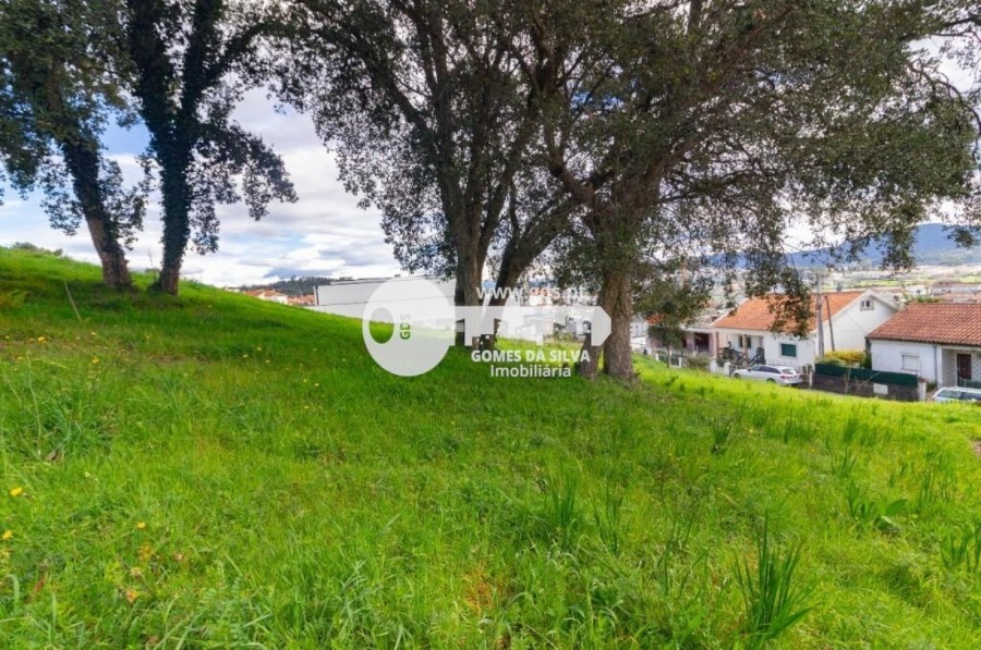 Terreno para Venda em Celeirós, Aveleda e Vimieiro, Braga, Braga - Imagem 7
