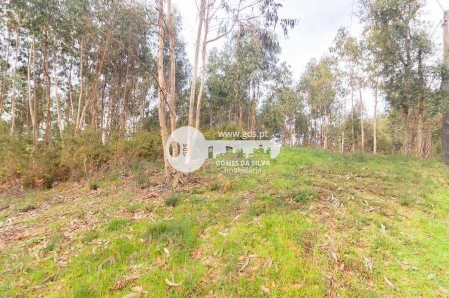 Terreno para Venda em Esporões, Braga, Braga - Imagem 7