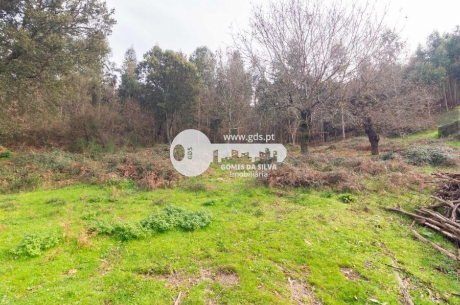 Terreno para Venda em Esporões, Braga, Braga - Imagem 8