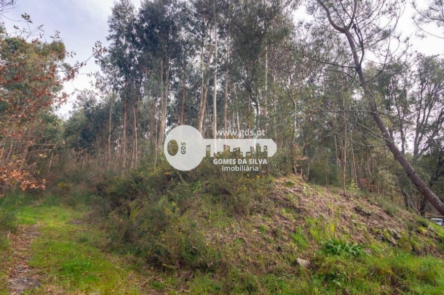 Terreno para Venda em Esporões, Braga, Braga - Imagem 13