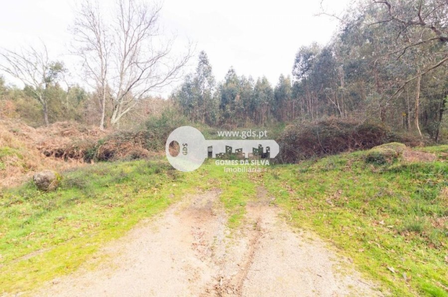 Terreno para Venda em Esporões, Braga, Braga - Imagem 6