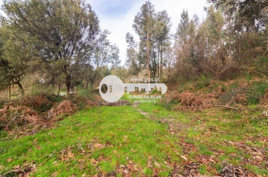 Terreno para Venda em Esporões, Braga, Braga - Imagem 10