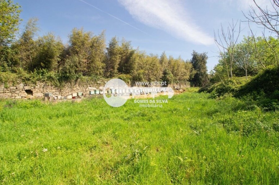Terreno para Venda em Adaúfe, Braga, Braga - Imagem 6