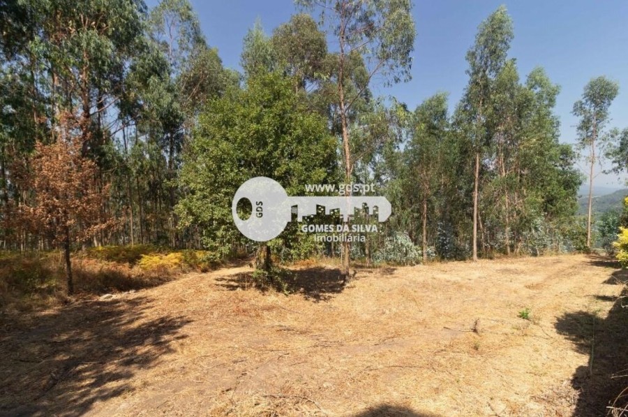 Moradia T4 para Venda em Ferreiros, Póvoa de Lanhoso, Braga - Imagem 21