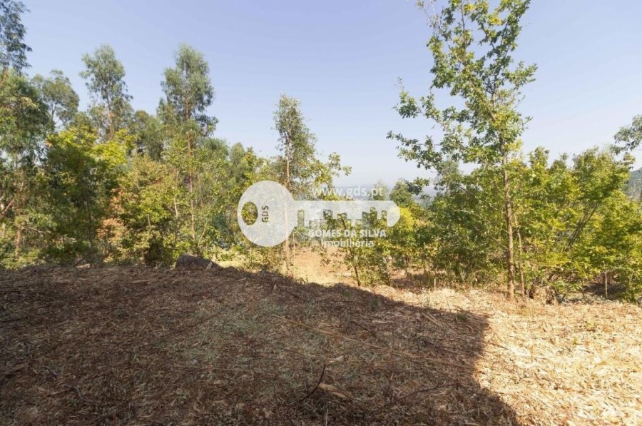 Moradia T4 para Venda em Ferreiros, Póvoa de Lanhoso, Braga - Imagem 22