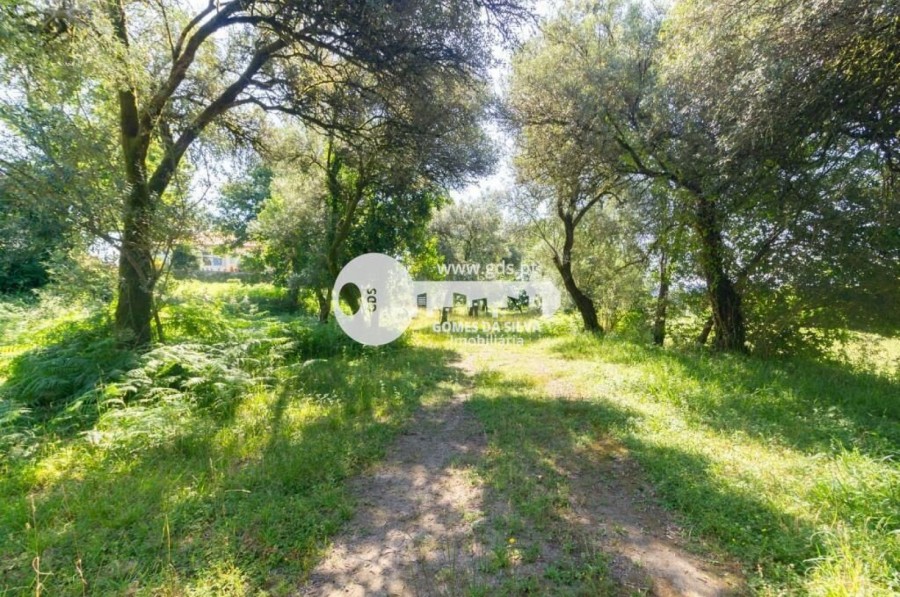 Moradia em Pico de Regalados, Gondiães e Mós, Vila Verde, Braga - Imagem 18