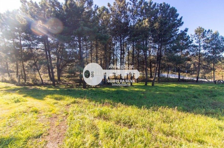 Pavilhão Industrial com lote de 5.850m2 em Espinho - Gomes da Silva - Imagem 6 Armazém em Espinho, Braga, Braga - Imagem 6