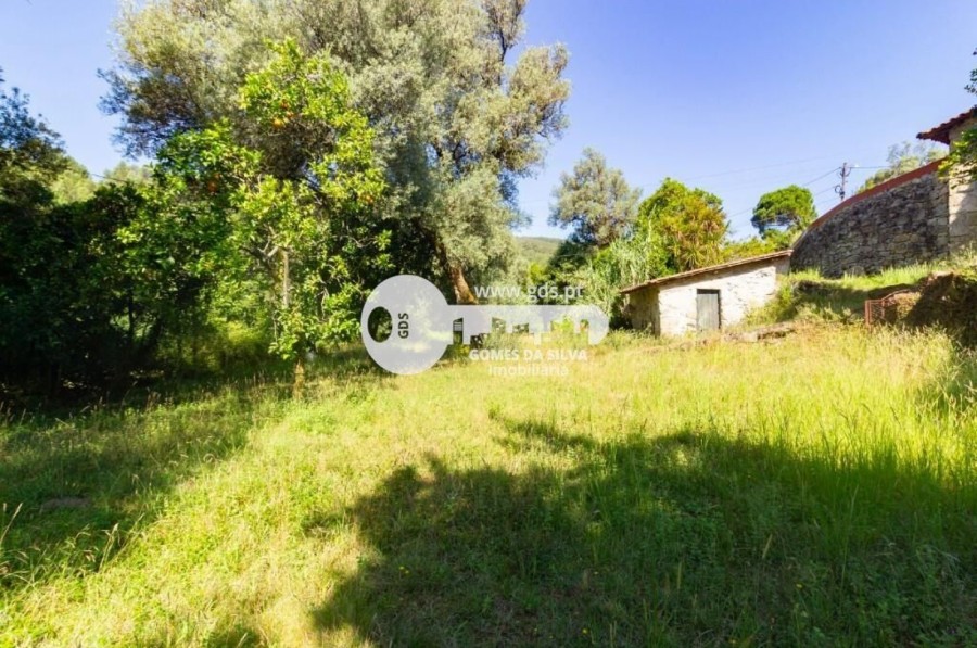 Quinta com 8000m2 de terreno em Pico de Regalados - Gomes da Silva - Imagem 26 Moradia em Pico de Regalados, Gondiães e Mós, Vila Verde, Braga - Imagem 26