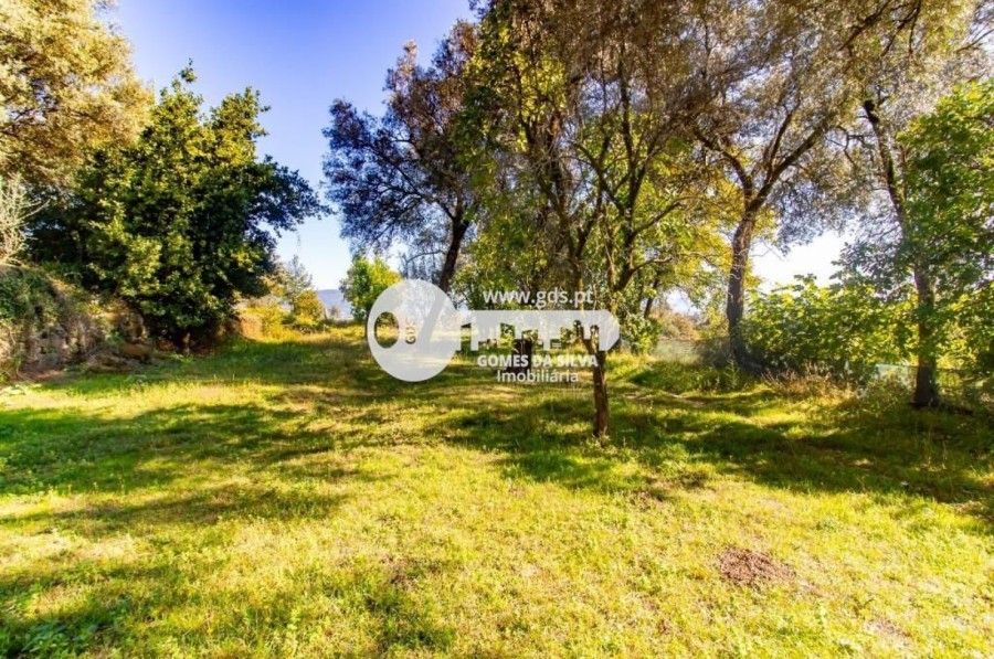 Quinta com 8000m2 de terreno em Pico de Regalados - Gomes da Silva - Imagem 9 Moradia em Pico de Regalados, Gondiães e Mós, Vila Verde, Braga - Imagem 9