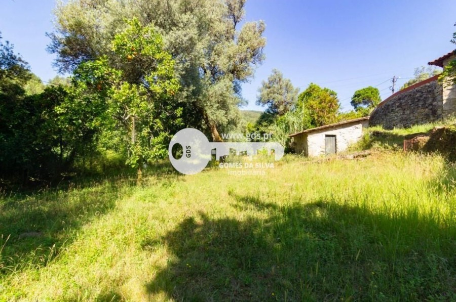 Quinta com 8000m2 de terreno em Pico de Regalados - Gomes da Silva - Imagem 2 Moradia em Pico de Regalados, Gondiães e Mós, Vila Verde, Braga - Imagem 2