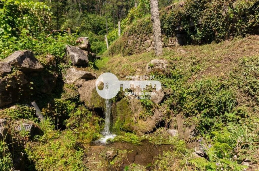 Quinta com 8000m2 de terreno em Pico de Regalados - Gomes da Silva - Imagem 16 Moradia em Pico de Regalados, Gondiães e Mós, Vila Verde, Braga - Imagem 16