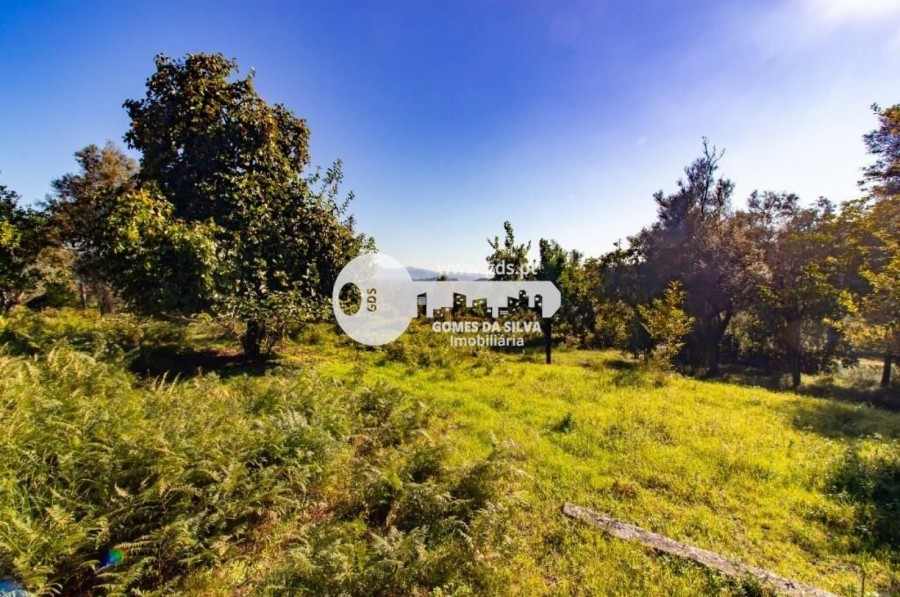 Quinta com 8000m2 de terreno em Pico de Regalados - Gomes da Silva - Imagem 19 Moradia em Pico de Regalados, Gondiães e Mós, Vila Verde, Braga - Imagem 19