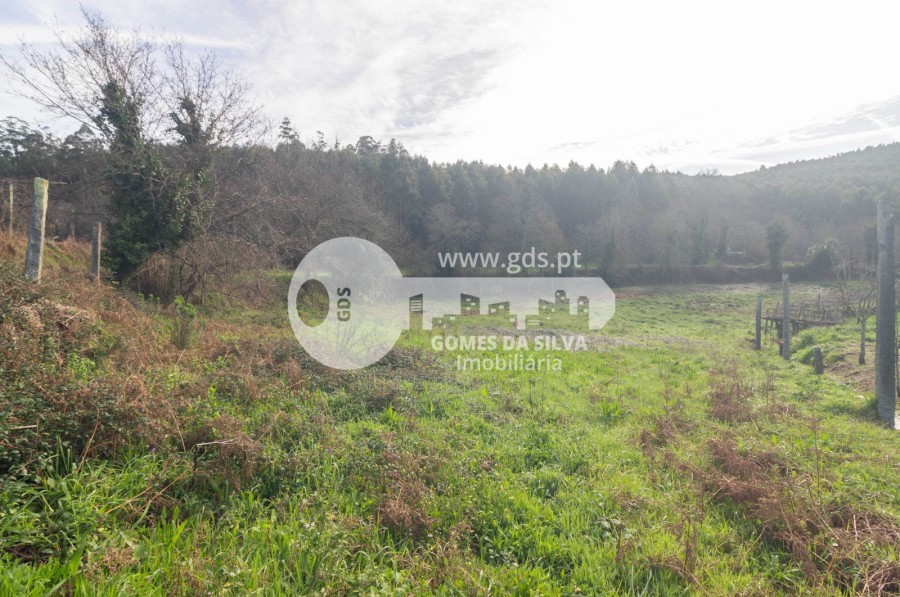 Terreno Agrícola em Vale São Martinho, Vila Nova de Famalicão - Gomes da Silva - Imagem 6 Terreno em Vale São Martinho, Vila Nova de Famalicão, Braga - Imagem 6