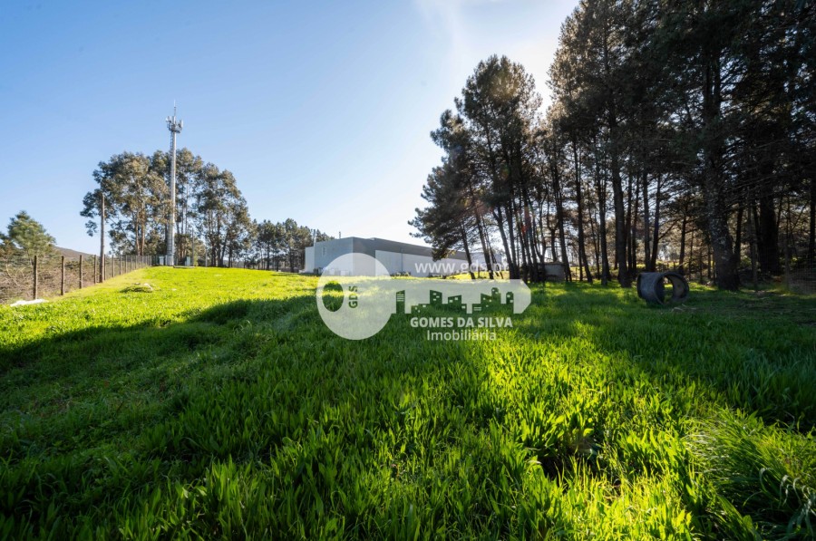 Armazém em Espinho, Braga, Braga - Imagem 7