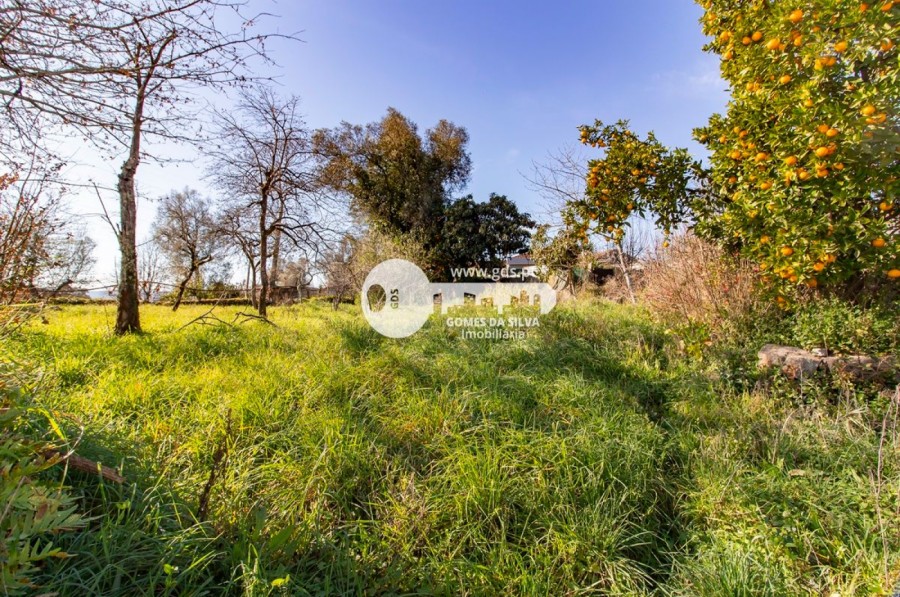 Quintinha para restauro em Lago - Gomes da Silva - Imagem 19 Moradia em Lago, Amares, Braga - Imagem 19
