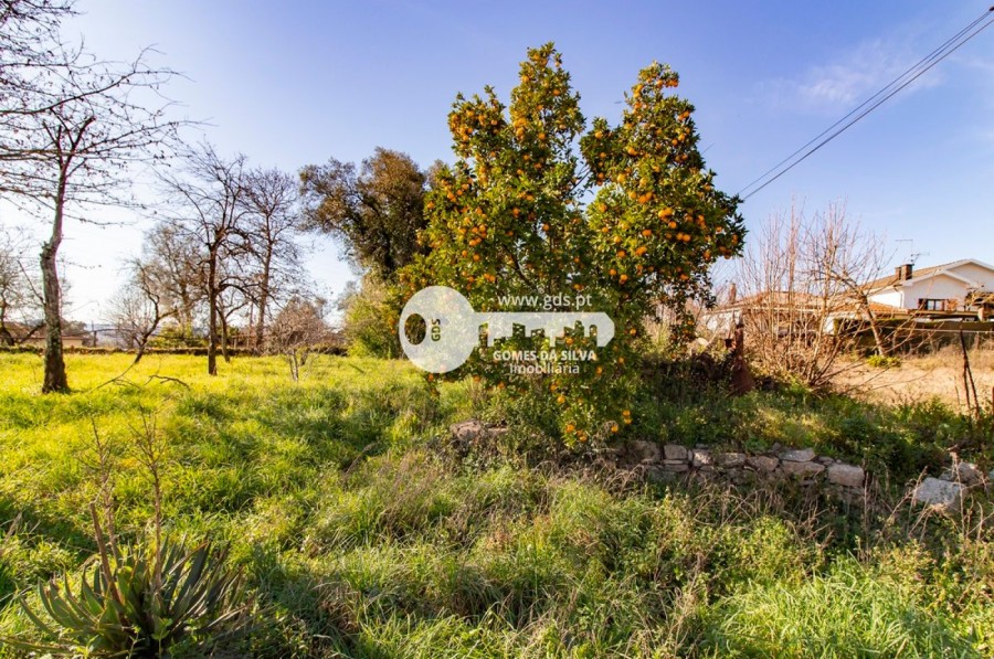 Quintinha para restauro em Lago - Gomes da Silva - Imagem 20 Moradia em Lago, Amares, Braga - Imagem 20
