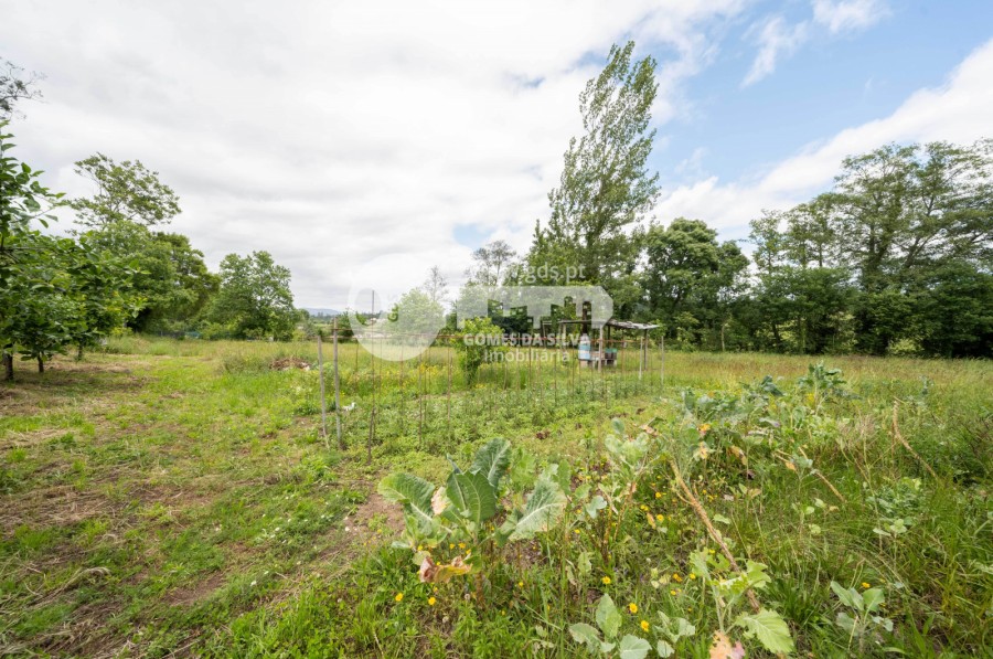 Terreno em Loureira, Vila Verde, Braga